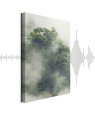 Paveikslas Rūkas Amazonėje