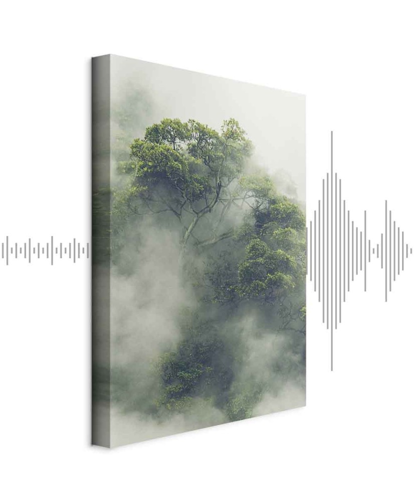 Paveikslas Rūkas Amazonėje