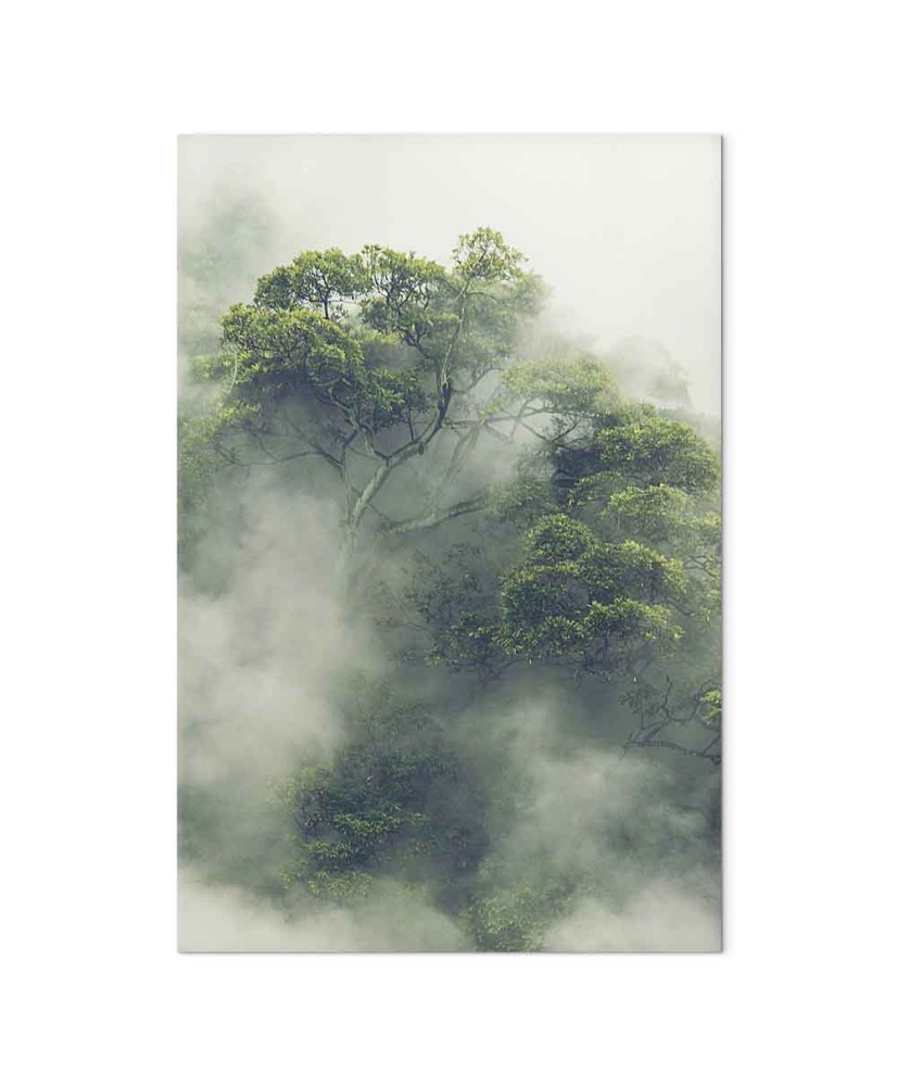 Paveikslas Rūkas Amazonėje