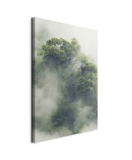 Paveikslas Rūkas Amazonėje