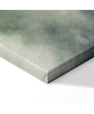 Paveikslas Rūkas Amazonėje