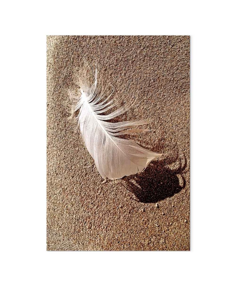 Paveikslas Plunksna smėlyje