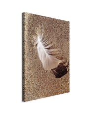 Paveikslas Plunksna smėlyje