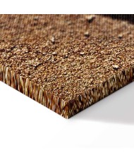 Paveikslas Plunksna smėlyje