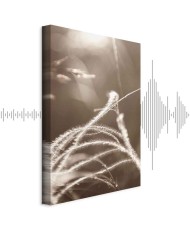 Paveikslas Pūkuota žolė