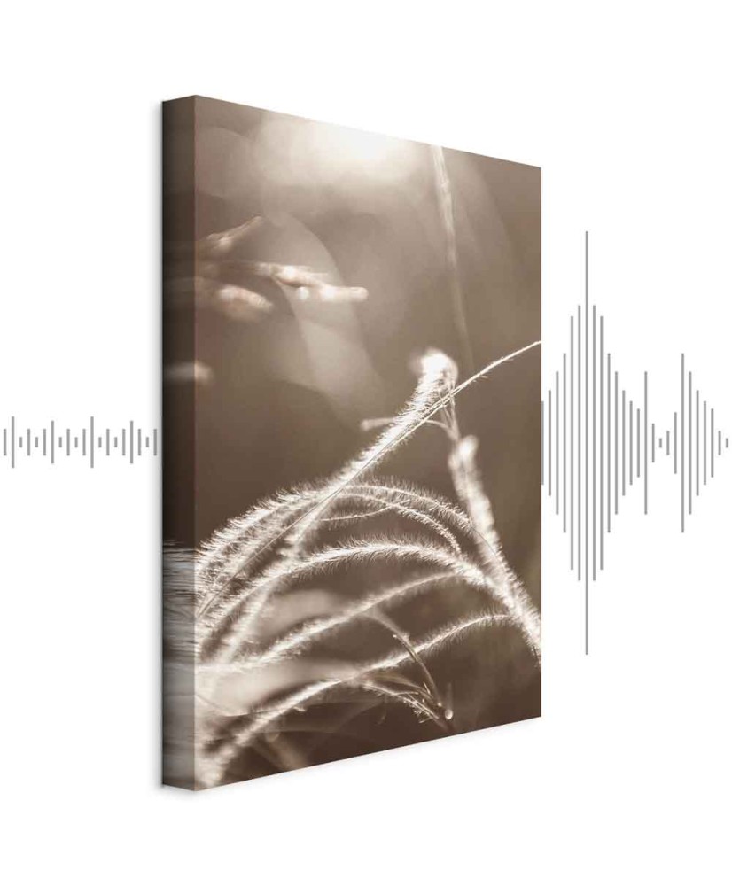 Paveikslas Pūkuota žolė