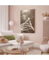 Paveikslas Pūkuota žolė