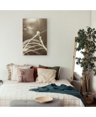 Paveikslas Pūkuota žolė