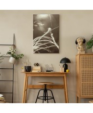 Paveikslas Pūkuota žolė