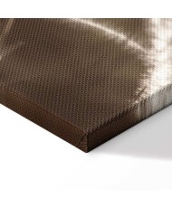 Paveikslas Pūkuota žolė