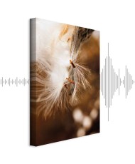 Paveikslas Svyruojanti šviesa