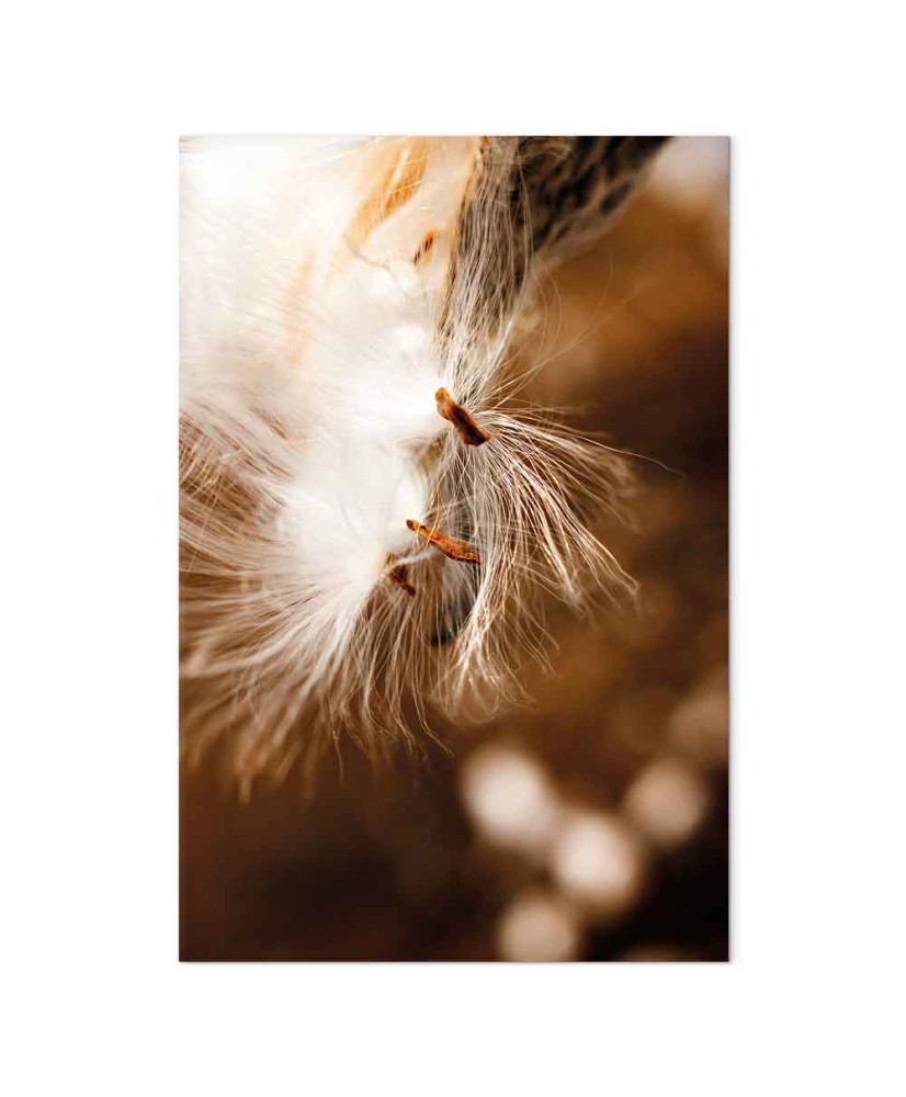 Paveikslas Svyruojanti šviesa