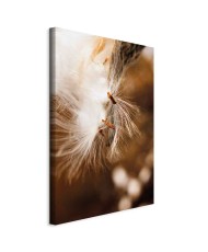 Paveikslas Svyruojanti šviesa