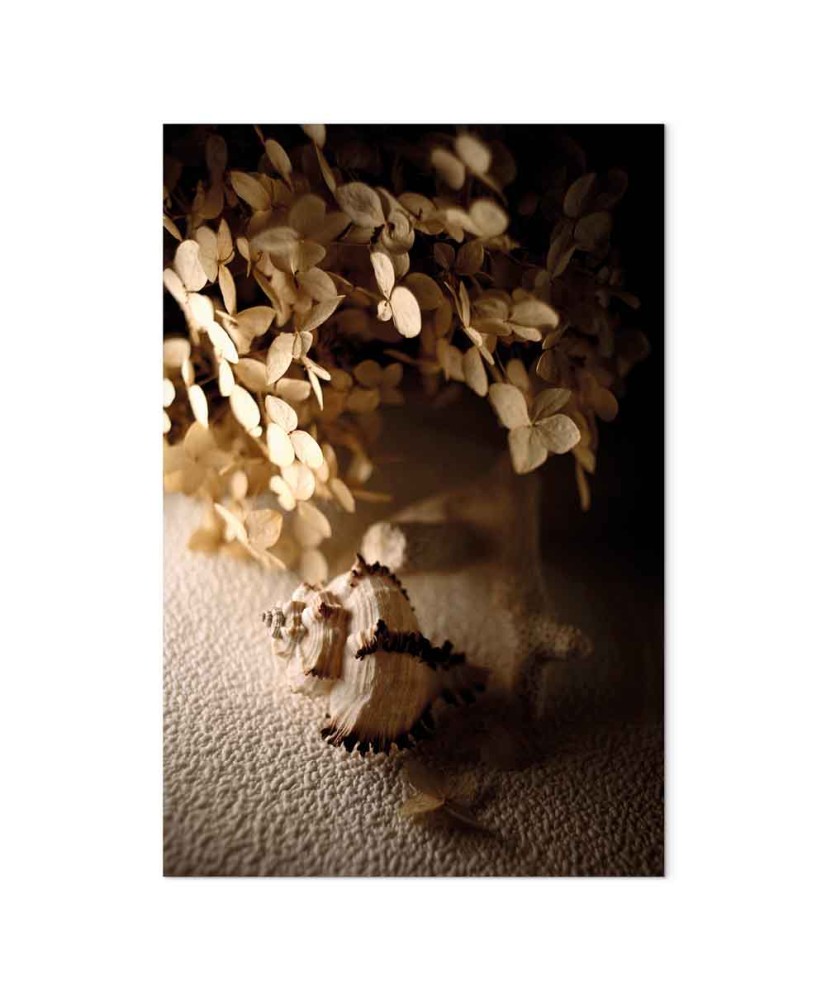 Paveikslas Dainuojanti kriauklė