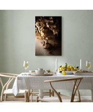 Paveikslas Dainuojanti kriauklė