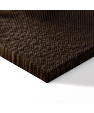 Paveikslas Dainuojanti kriauklė