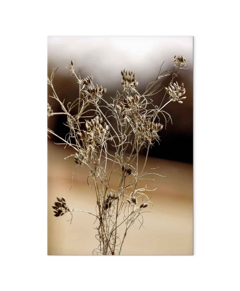 Paveikslas Brandos aistra