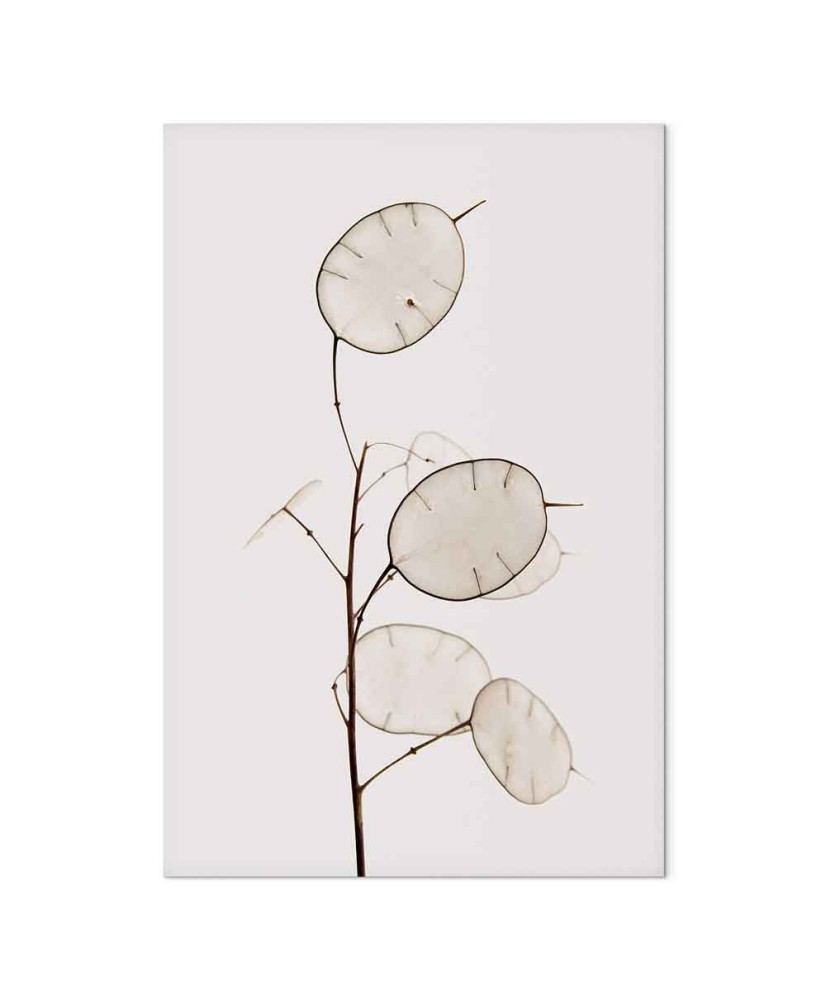 Paveikslas Saulėta kryptis