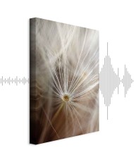 Paveikslas Prisiminimų pradžia