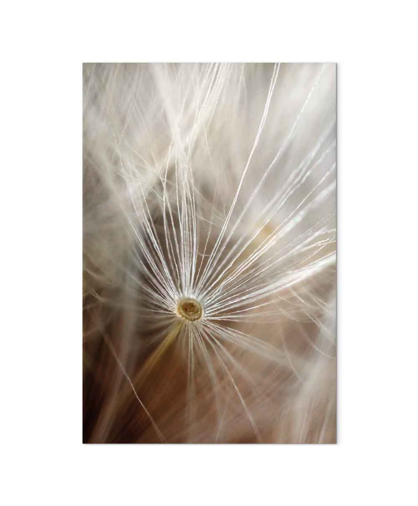 Paveikslas Prisiminimų pradžia