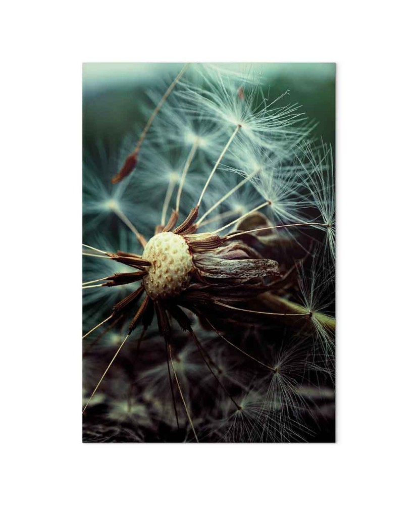 Paveikslas Paskutinė viltis