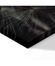 Paveikslas Paskutinė viltis