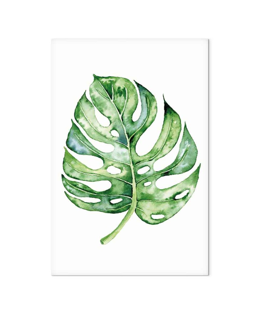 Paveikslas Akvarelinė monstera