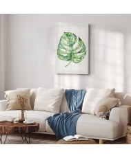 Paveikslas Akvarelinė monstera