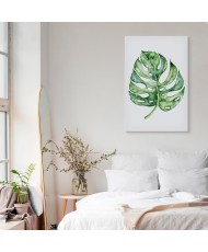 Paveikslas Akvarelinė monstera