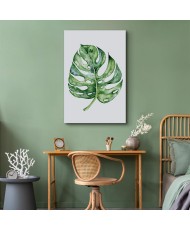Paveikslas Akvarelinė monstera