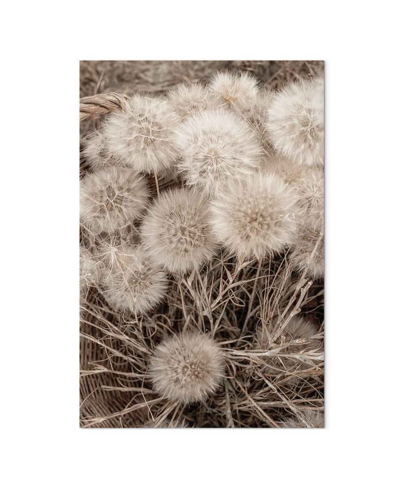 Paveikslas Švelni puokštė