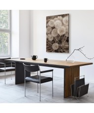 Paveikslas Švelni puokštė