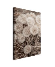 Paveikslas Švelni puokštė