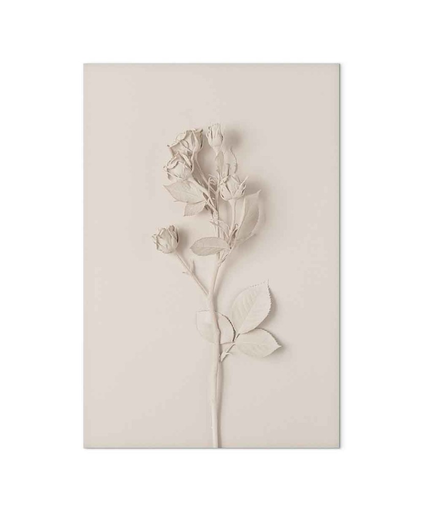 Paveikslas Harmoninga rožė