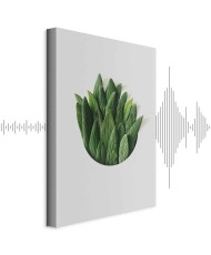 Paveikslas Kvapų ratas