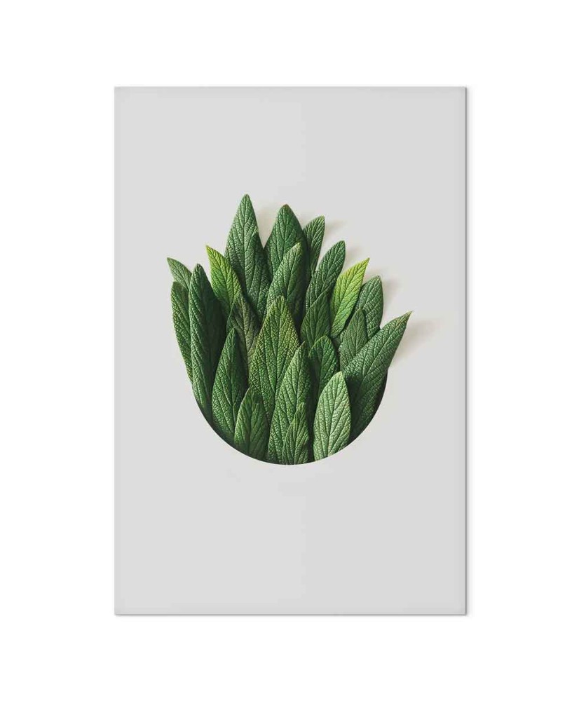 Paveikslas Kvapų ratas