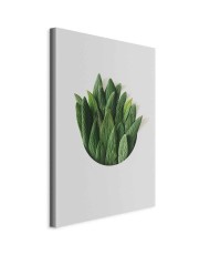 Paveikslas Kvapų ratas