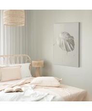 Paveikslas Ryški monstera