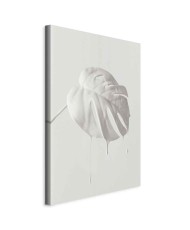 Paveikslas Ryški monstera