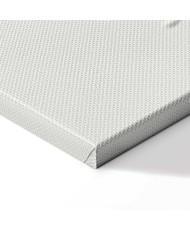 Paveikslas Ryški monstera