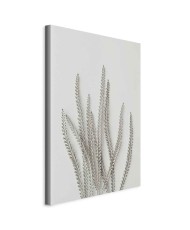 Paveikslas Augalų gausa