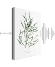 Paveikslas Nicholia eukaliptas