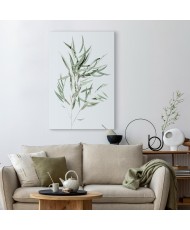 Paveikslas Nicholia eukaliptas