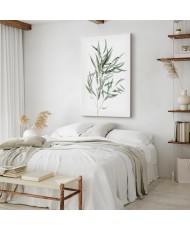 Paveikslas Nicholia eukaliptas