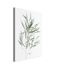 Paveikslas Nicholia eukaliptas