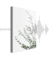 Paveikslas Eukaliptas Parvifolia