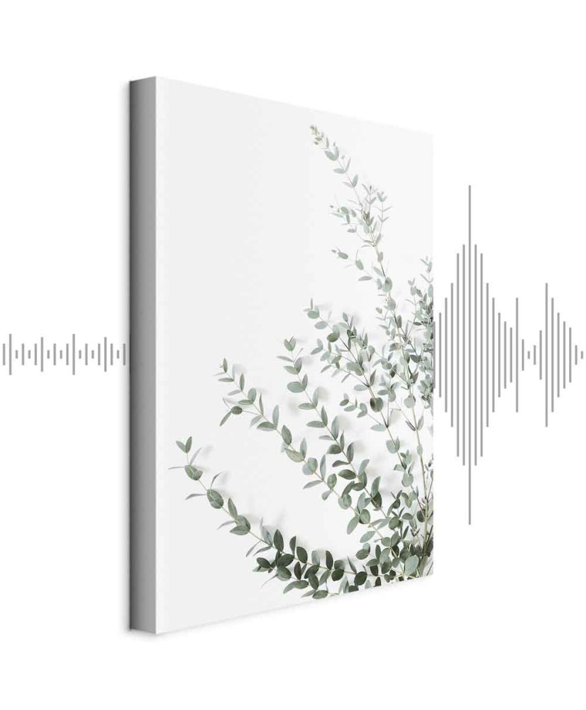 Paveikslas Eukaliptas Parvifolia