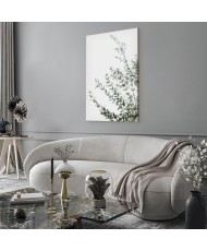 Paveikslas Eukaliptas Parvifolia