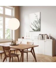 Paveikslas Eukaliptas Parvifolia