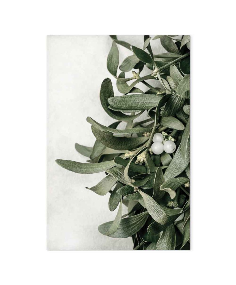 Paveikslas Kalėdinė amalo šakelė